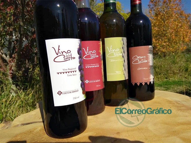 Borrachos virtuales: Se relizará la 17° edición de la Fiesta del Vino de la Costa pero en línea