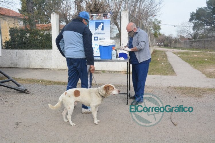 Jornada integral de vacunación en Barrio Obrero
