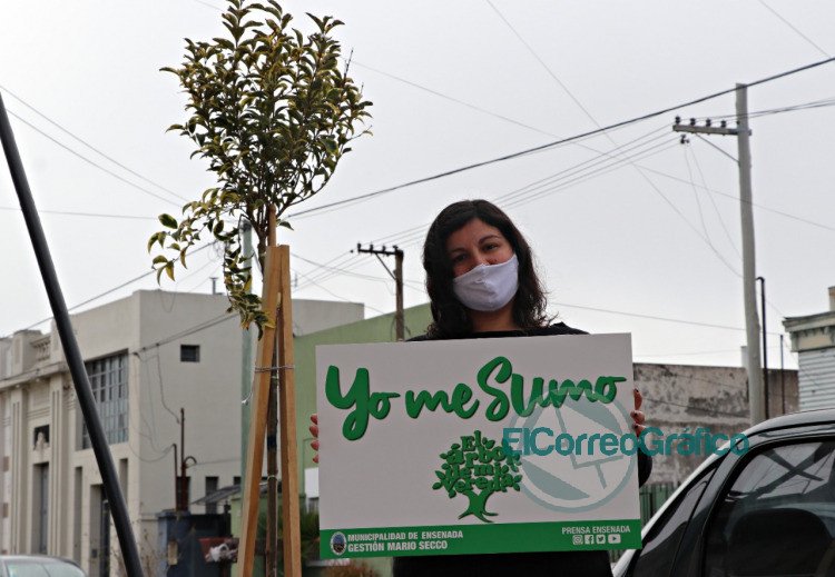 El Municipio de Ensenada te planta un árbol en tu vereda