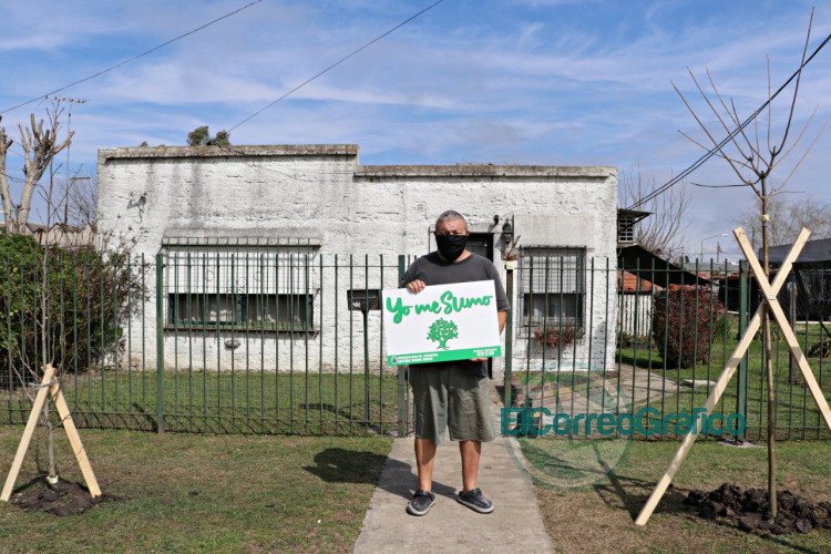 El Municipio de Ensenada te planta un árbol en tu vereda