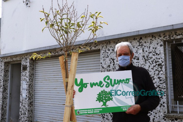 El Municipio de Ensenada te planta un árbol en tu vereda