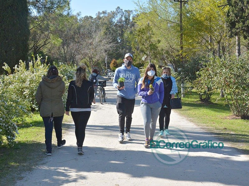Se entregaron plantines y suculentas en el Vivero Municipal
