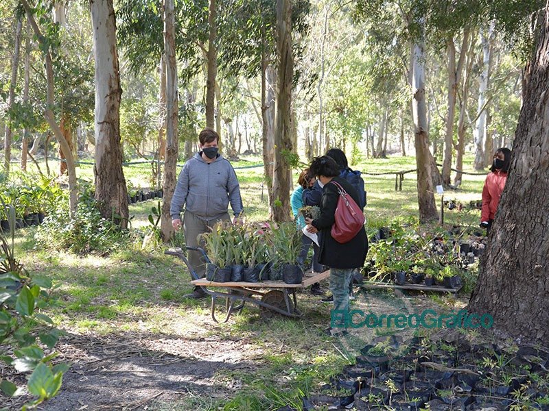 Se entregaron plantines y suculentas en el Vivero Municipal