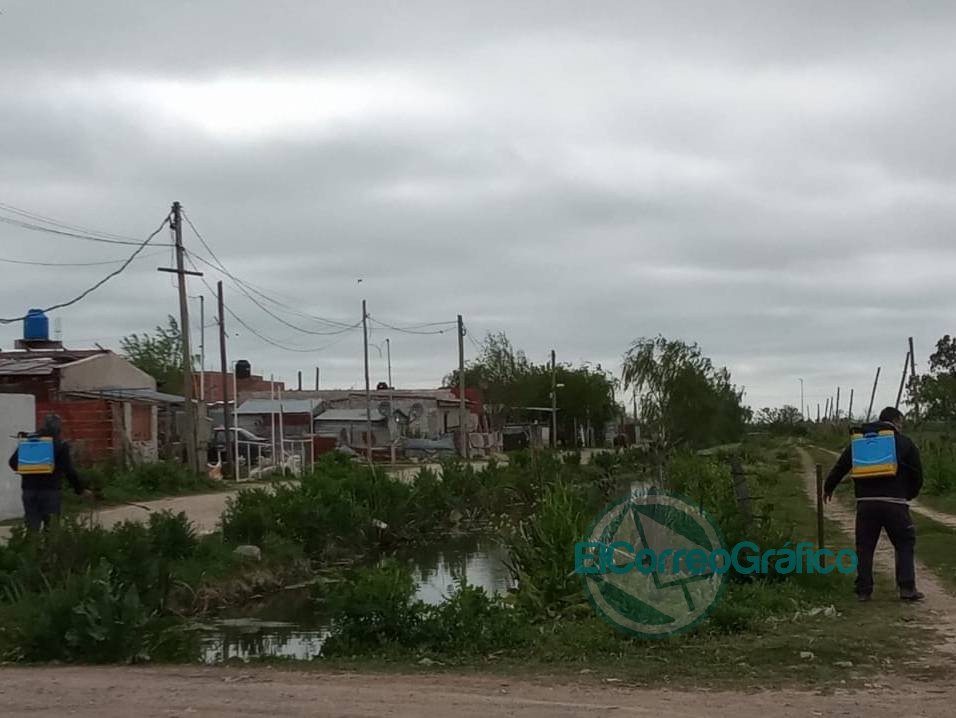 Colocación de larvicidas como medida de prevención Colocación de larvicidas como medida de prevención