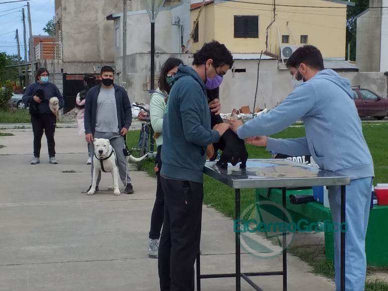 Otro operativo de prevención de dengue