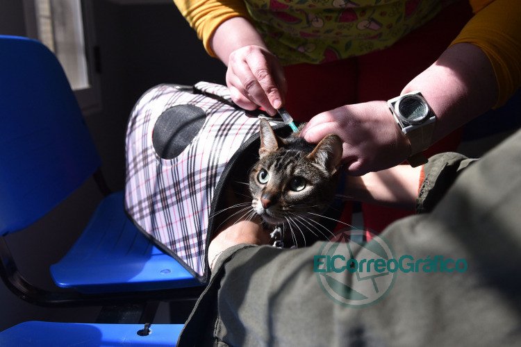 Ya está en funcionamiento la nueva sede de Zoonosis en 52 y 120 Ya está en funcionamiento la nueva sede de Zoonosis en 52 y 120