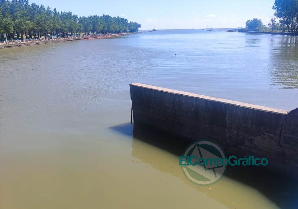 Estado del servicio de agua en La Plata, Berisso y Ensenada