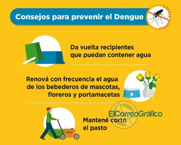 Intensifican tareas de fumigación y control en barrios y espacios verdes platenses