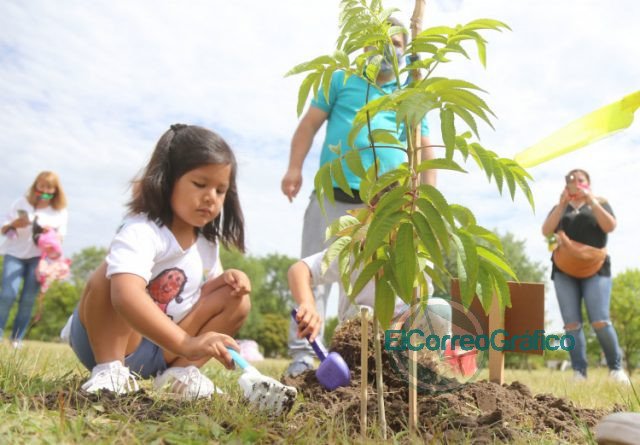 Alumnos de jardines platenses plantaron árboles nativos en el Parque Ecológico Alumnos de jardines platenses plantaron árboles nativos en el Parque Ecológico