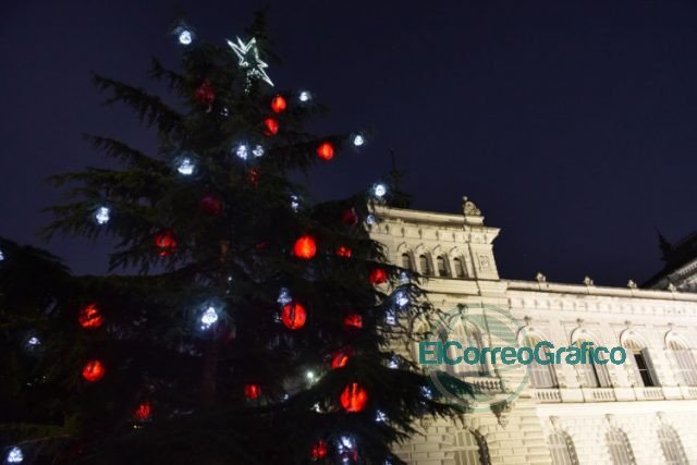 Árboles navideños, adornos y luces decorativas en la ciudad de La Plata