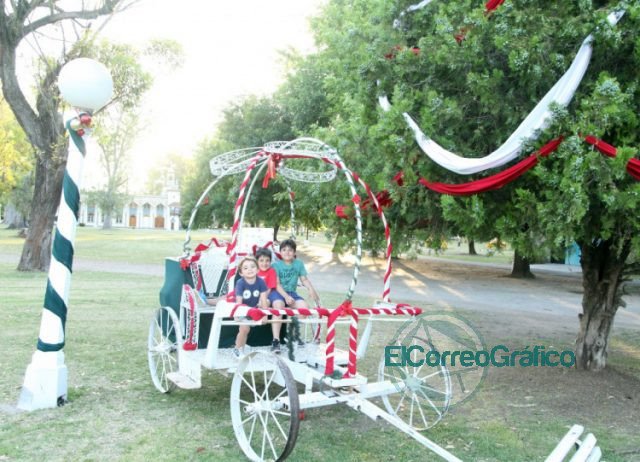 Árboles navideños, adornos y luces decorativas en la ciudad de La Plata