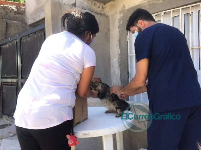 Campaña de Concientización y Prevención de Dengue en los barrios Cabezas Campaña de Concientización y Prevención de Dengue en los barrios Cabezas