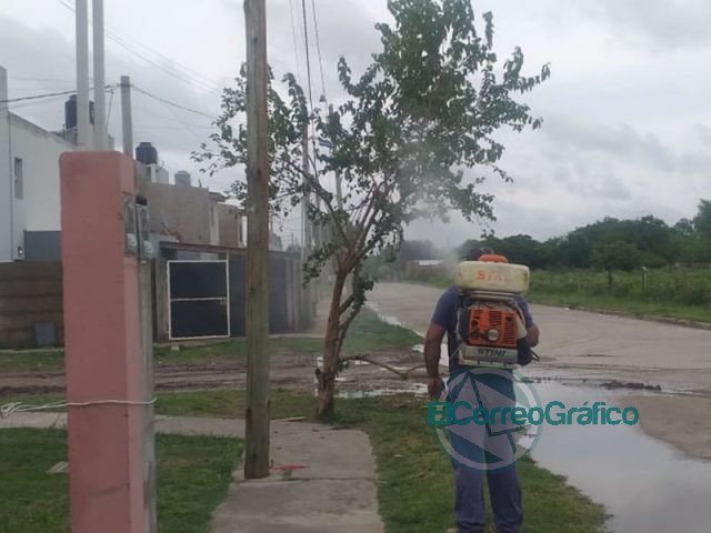 Fumigación y desinfección en Berisso Fumigación y desinfección en Berisso