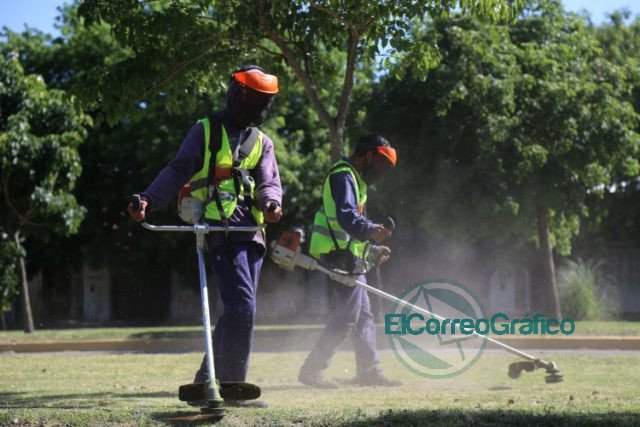Fumigaciones en las delegaciones platenses