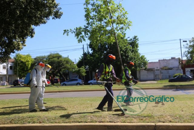 Fumigaciones en las delegaciones platenses