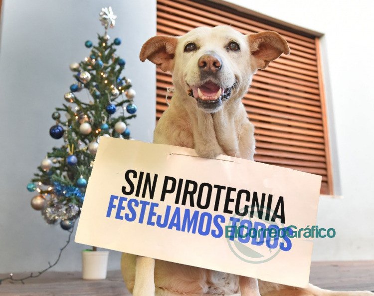 Llaman a no utilizar pirotecnia durante las fiestas de fin de año