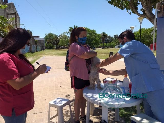 Operativo Integral para concientizar y prevenir Dengue