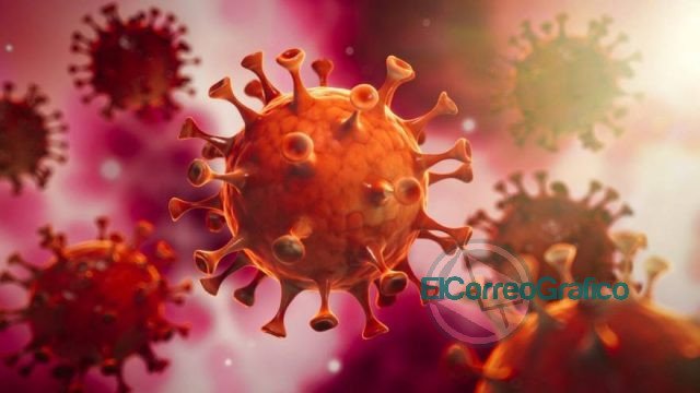 ¿La vacuna o la enfermedad?: cuál genera más y mejor inmunidad