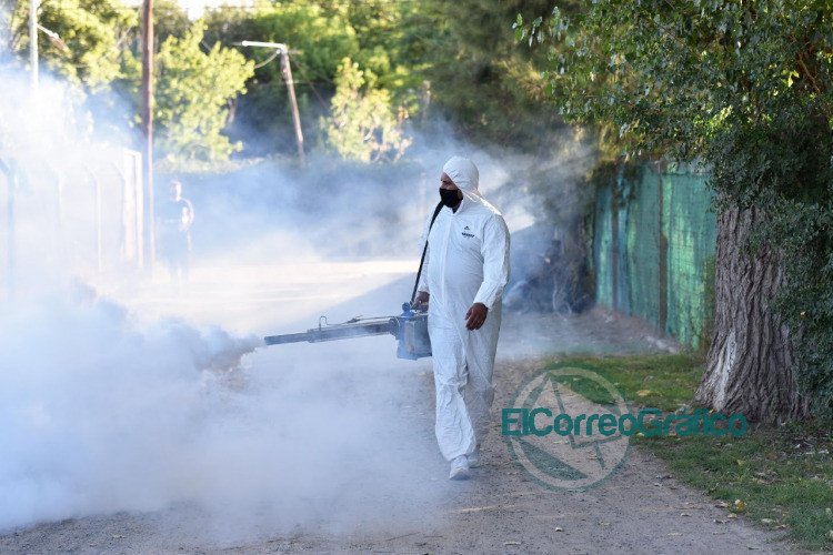Campaña de fumigación: Tras completar las zonas norte y oeste, avanzan en el sur de la ciudad Campana de fumigacion en La Plata 6