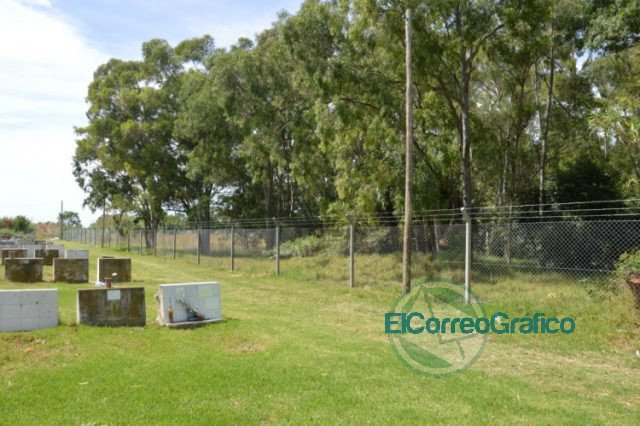 Cierre perimetral del predio del Cementerio Parque de Berisso 3