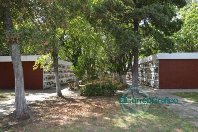 Cierre perimetral del predio del Cementerio Parque de Berisso 4