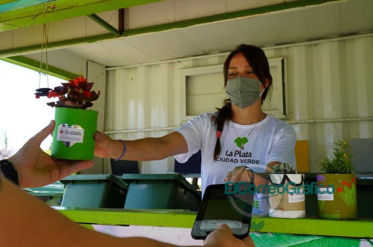 Entregan plantines semillas compost o bolsas verdes a cambio de residuos secos