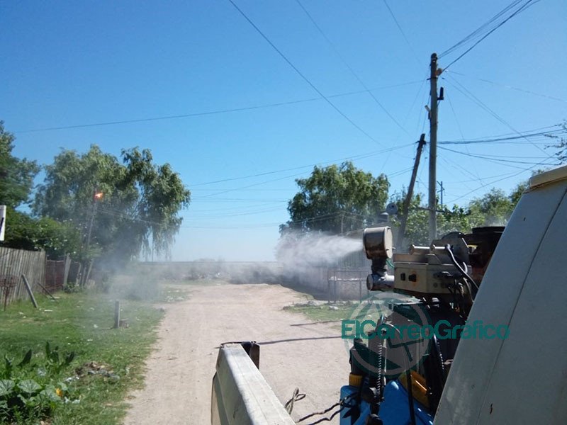 Fumigacion desinfeccion y colocacion de larvicidas 1