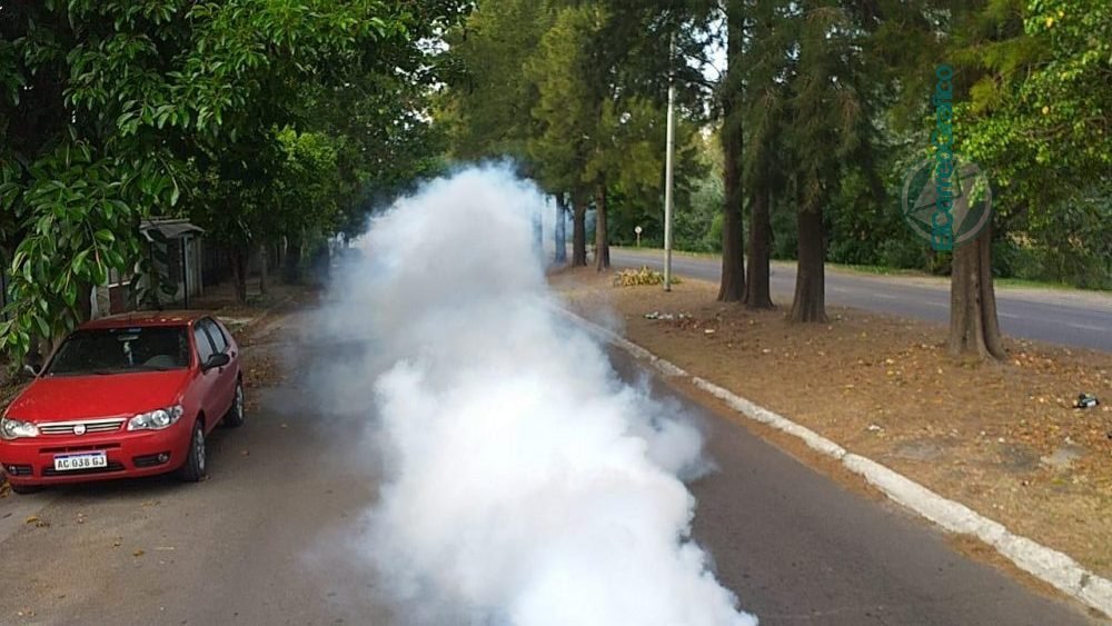 Fumigación y colocación de larvicidas en Berisso Fumigacion y colocacion de larvicidas en Berisso 3