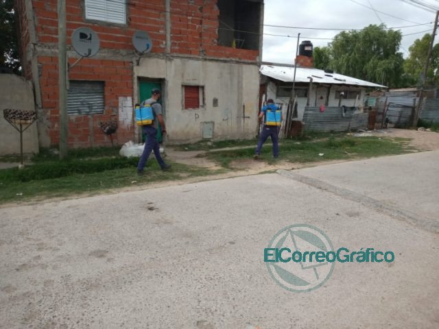 Fumigación y desinfección en Berisso Fumigacion y desinfeccion en Berisso 2