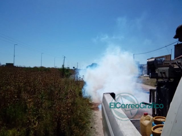 Fumigación y desinfección en Berisso Fumigacion y desinfeccion en Berisso 3