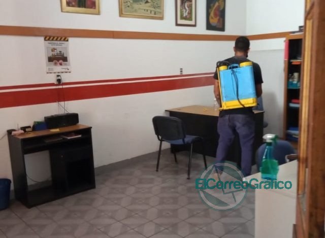 Fumigación y desinfección en Berisso Fumigacion y desinfeccion en Berisso 4