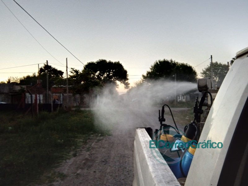 Fumigación y desinfección preventiva en zonas de Berisso Fumigacion y desinfeccion preventiva en zonas de Berisso 1