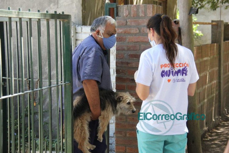 Operativo de vacunación animal “puerta a puerta” en Arana Operativo de vacunacion animal puerta a puerta en Arana