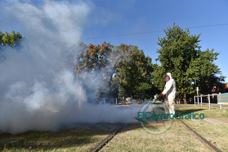 Piden acentuar el descacharreo para evitar la propagacion del mosquito del dengue 1