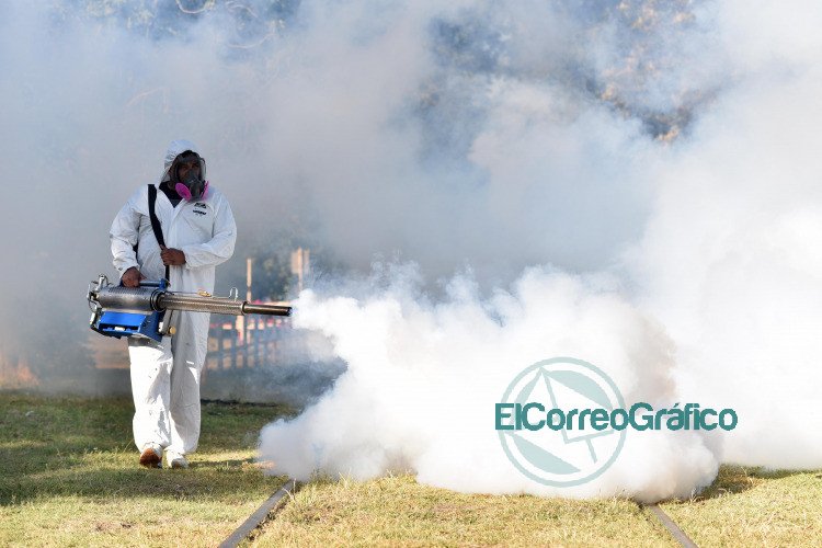 Piden acentuar el descacharreo para evitar la propagacion del mosquito del dengue 3