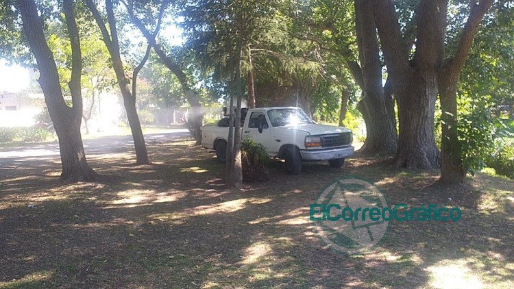 Se sigue fumigando preventivamente en Berisso Se sigue fumigando preventivamente en Berisso 3