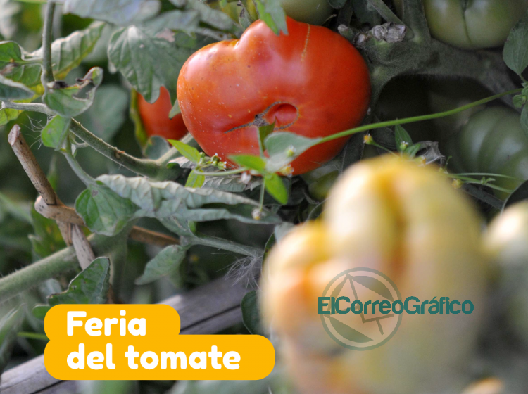 Feria del Tomate Platense