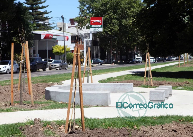 Se plantaron 2.000 nuevos ejemplares para recuperacion del arbolado publico2