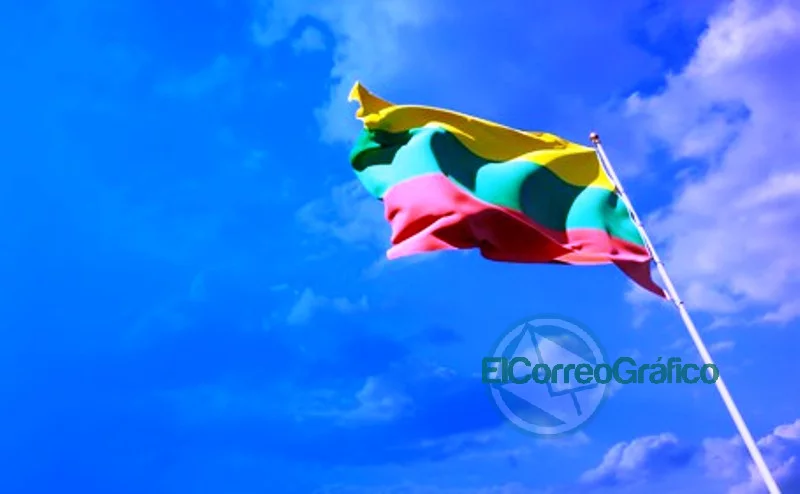 hermosa bandera estado nacional lituania espacio blanco sobre fondo amplio 337817 894
