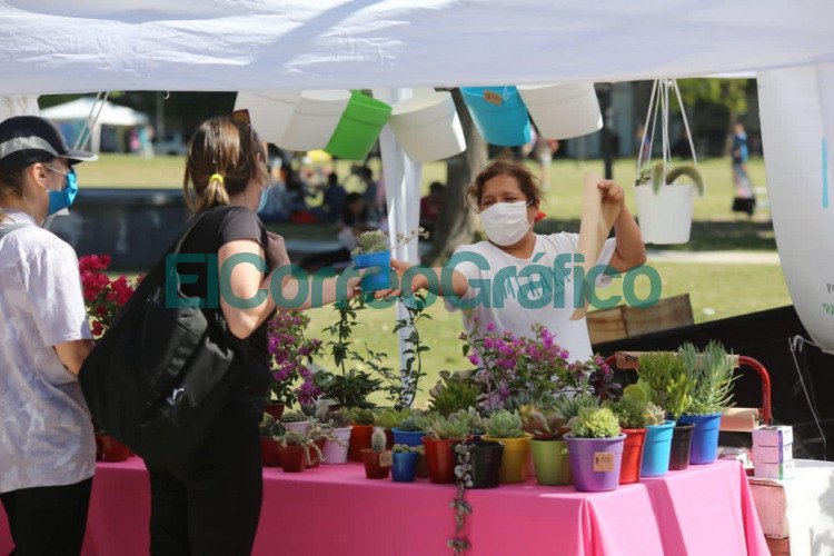 Capacitaciones gratuitas a emprendedores con perspectiva de genero 2