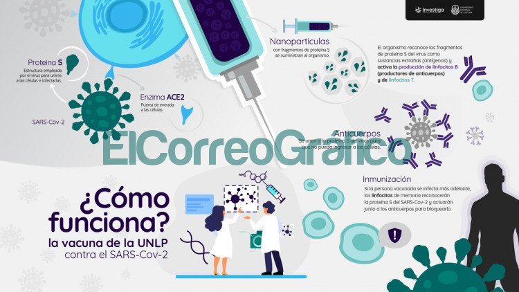 Como funciona la vacuna de la UNLP contra el SARS CoV 2