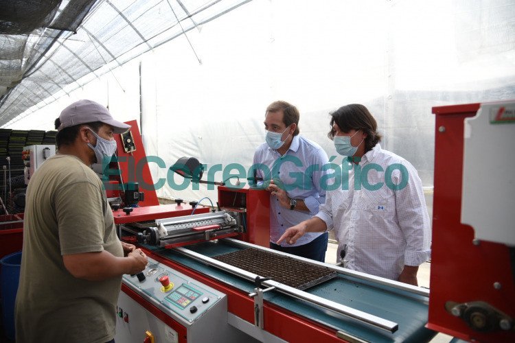 Garro pidió “seguir acompañando el crecimiento del sector productivo para generar cada vez más empleo genuino y de calidad” Jukio Garro en la cooperativa agricola Tecnoflor 6
