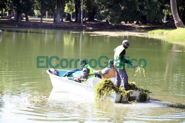 Saneamiento y renovacion para la puesta a punto del lago del Parque Saavedra 1