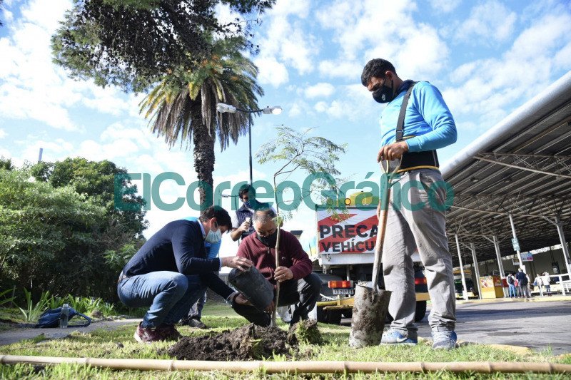El Municipio colocó eco-ceniceros y plantó nuevos árboles en la Terminal de Ómnibus El Municipio coloco eco ceniceros y planto nuevos arboles en la Terminal de Omnibus 3
