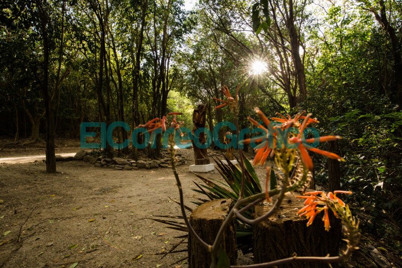 Encontrarse con la naturaleza y sus aromas serranos en Merlo 13