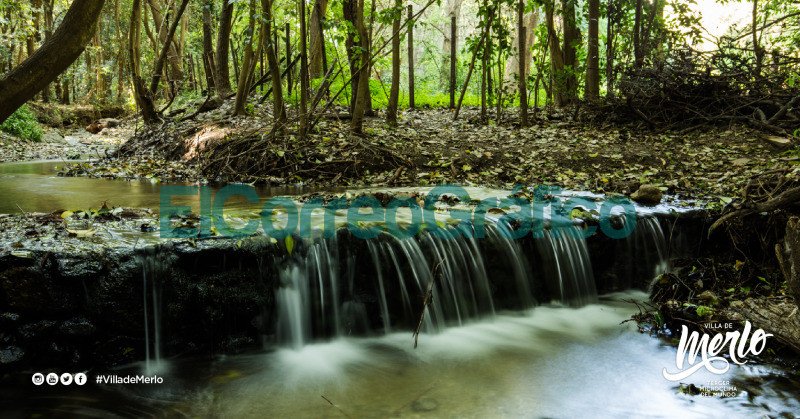 Encontrarse con la naturaleza y sus aromas serranos en Merlo 14