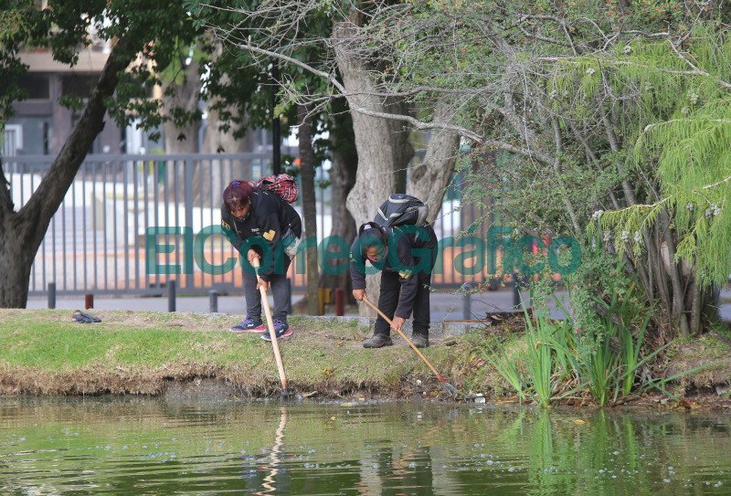 Saneamiento y renovacion en el lago del Paseo del Bosque 3