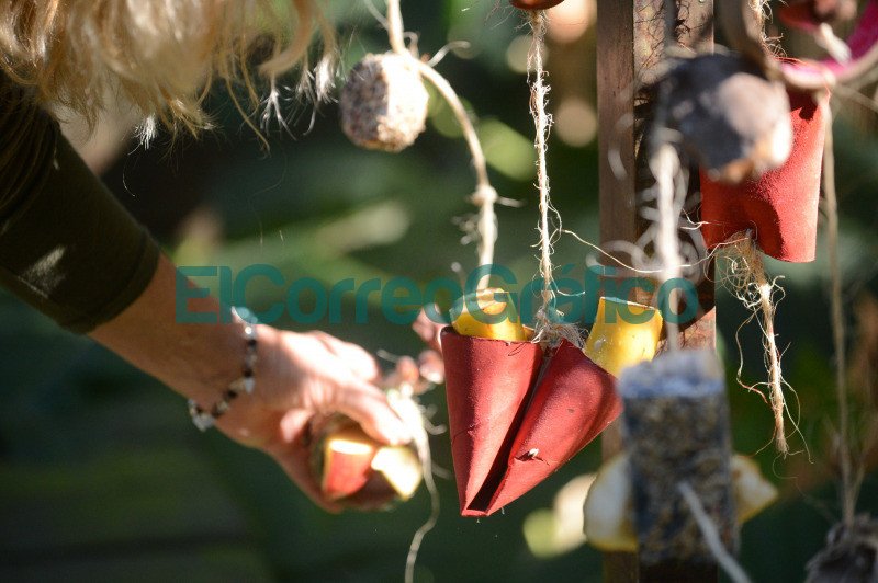 Bioparque La Plata: impulsan actividades para promover hábitos naturales en especies en cautiverio impulsan actividades para promover habitos naturales en especies en cautiverio 3