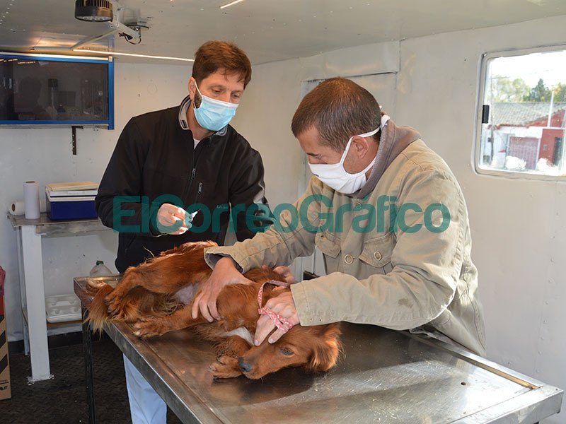Comenzo a funcionar la Veterinaria Movil para la Atencion Primaria de Mascotas 2