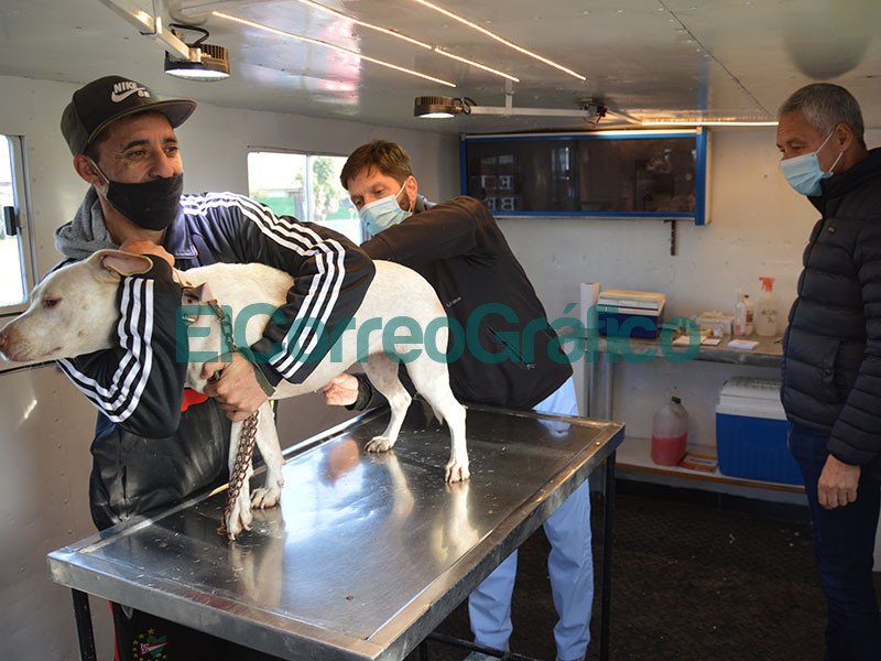 Comenzo a funcionar la Veterinaria Movil para la Atencion Primaria de Mascotas 3